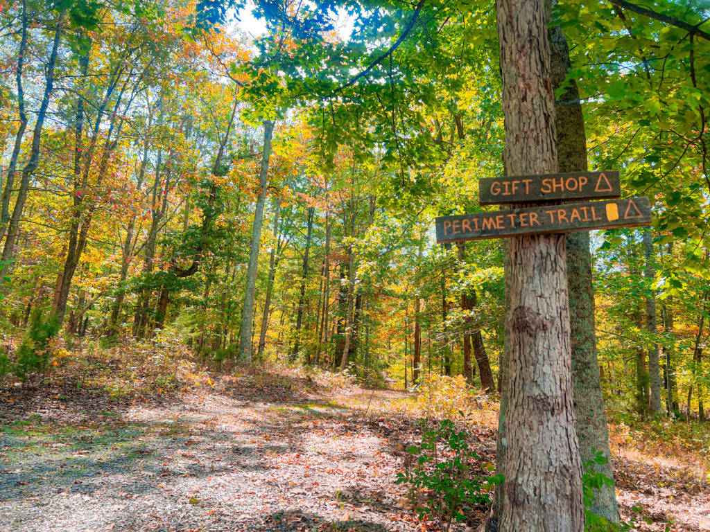 Endless Caverns RV Resort hiking trail