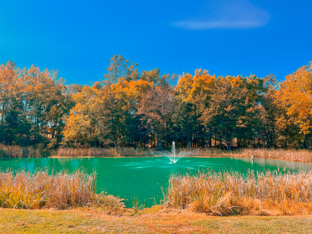 Endless Caverns RV Resort fishing pond